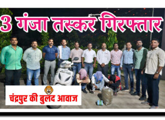 भद्रावती के सायवान गांव समीप 5,849 किलो गांजे के साथ पकड़े गये आरोपी