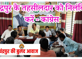 चंद्रपुर तहसीलदार को निलंबित करें – कांग्रेस की मांग..