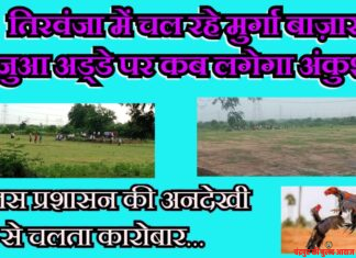 तिरवंजा में चल रहे मुर्गा बाज़ार व जुआ अड्डे पर कब लगेगा अंकुश ? पुलिस प्रशासन की अनदेखी से चलता कारोबार…