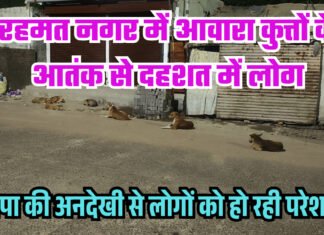 रहमत नगर में आवारा कुत्तों के आतंक से दहशत में लोग,मनपा की अनदेखी से लोगों को हो रही परेशानी