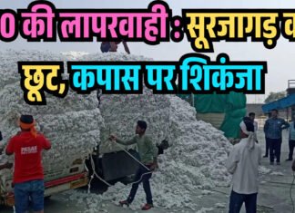 RTO की लापरवाही : सूरजागड़ को छूट, कपास पर शिकंजा गोंडपिपरी का कपास जिनिंग उद्योग संकट में