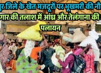 चंद्रपुर जिले के खेत मजदूरों पर भूखमरी की नौबत ! रोजगार की तलाश में आंध्र और तेलंगाना की ओर पलायन