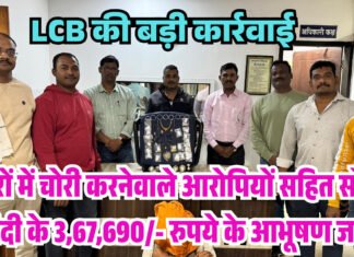 LCB की बड़ी कार्रवाई, घरों में चोरी करनेवाले आरोपियों सहित सोना चांदी के आभूषण 3,67,690/- रुपये का माल जब्त