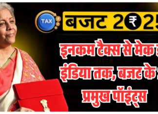 बजट 2025 : इनकम टैक्स से मेक इन इंडिया तक, बजट के 20 प्रमुख पॉइंट्स