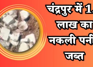 खाद्य एवं औषधि प्रशासन कार्यालय की कार्रवाई : चंद्रपुर में 1.5 लाख का नकली पनीर जब्त