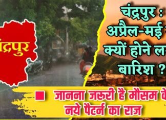 चंद्रपुर : अप्रैल-मई में क्यों होने लगी बारिश ?
