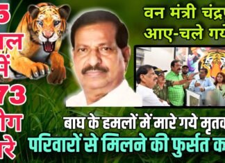 5 साल में 173 लोग मरे और वन मंत्री चंद्रपुर आए-चले गये