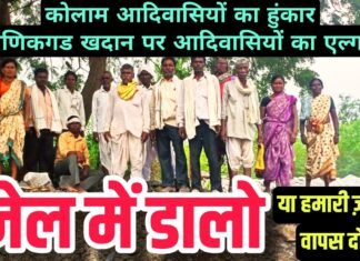 “जेल में डालो या हमारी ज़मीन वापस दो!” – कोलाम आदिवासियों का हुंकार