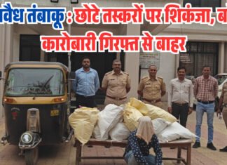 अवैध तंबाकू : छोटे तस्करों पर शिकंजा, बड़े कारोबारी गिरफ्त से बाहर