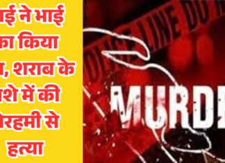 चंद्रपुर: भाई ने भाई का किया खून, शराब के नशे में की बेरहमी से हत्या!