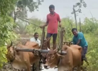 बल्लारपूर: विसापूर की महिलाओं का गुस्सा – पाणंद रास्तों की बदहाली पर फूट पड़ा आक्रोश