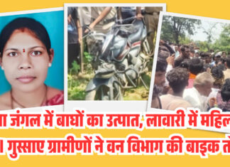 चिमूर: ताडोबा जंगल में वाघ का कहर, लावारी में महिला की मौत गुस्साए ग्रामीणों ने की वन विभाग की बाइक की तोड़फोड़