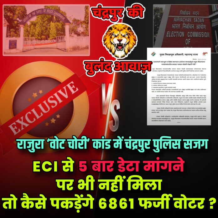 d19d77ef-2c7e-4d8b-ad67-fafbd9559332