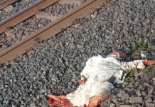 कर्ज और सूखे की मार: 70 साल के किसान विठोबा झाड़े ने ट्रेन के आगे दी जान, परिवार पर टूटा दुखों का पहाड़